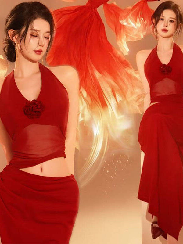 Costume de photographie rouge  - Photography Lighting For Clothing avis et prix